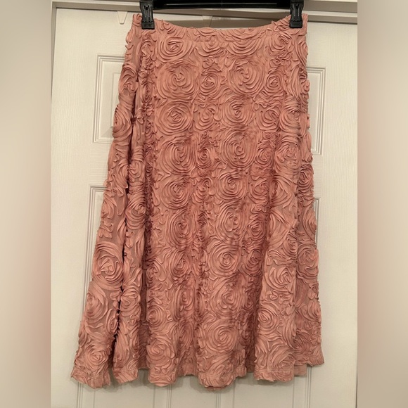🎀Host Pick Anthropologie HD in Paris Skirt Size M - Picture 2 of 6